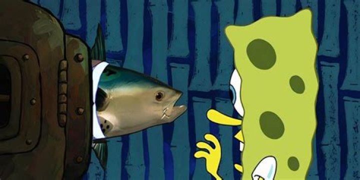 Discoveries And Insights From "News Fish Spongebob"