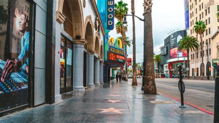 See Photos Of The Star Hollywood Life ·